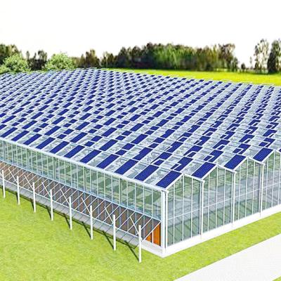 China Multi span commercial agricultural photovoltaic solar venlo greenhouse commercial used glass greenhouses for sale for sale