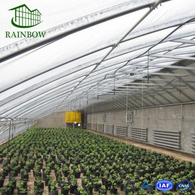 China Plant Growth Customized High Quality Solar Energy Saving Environmental-Friendly Greenhouse For Use for sale