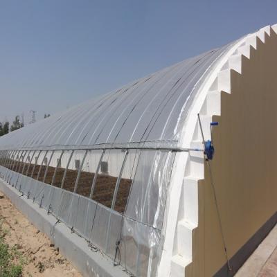 China Fruit Vegetable Flowers Low Cost Chian PO Solar Film Greenhouse For Cold Area for sale