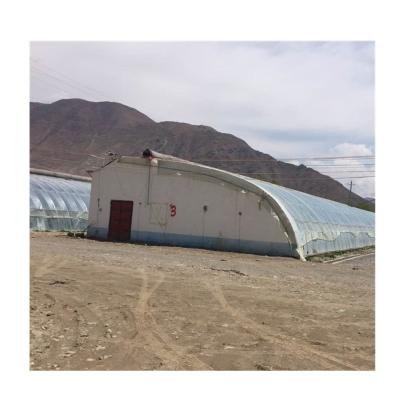 China Vegetables Planting Film Solar Anti-Cold Greenhouse For Strawberry Vegetables for sale