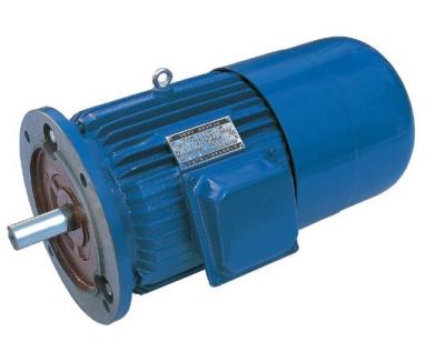 China Electric Magnet Brake AC 3 Phase Motor for Pumps , Fans , Crushers for sale