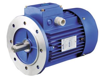 China Aluminum Alloy Housing Special Electric Motors Three Phase Asynchronous YS Series for sale