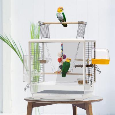 China Hot Sale Viable Transparent Bird Cage Small Open Top Parrot Cage For Budgies Cockatiels Budgies Small Birds Medium House for sale