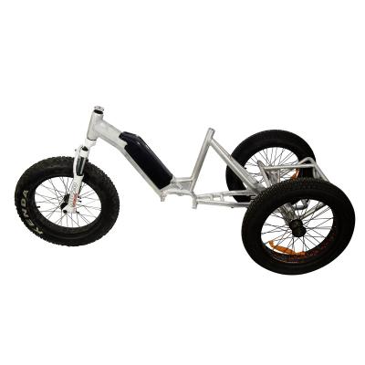 China Multi-purpose Professional 20 Inch Electric Bike Three-Wheeled Electric Frame For Downhill Suspension Mountain Ebike for sale