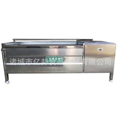 China High Efficiency Easy Operate Commercial Fruit Vegetable Bubble Washing Machine Potato Tomato Washer Machine for sale