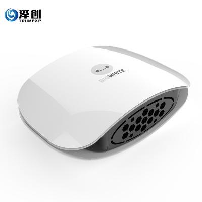 China Plasma Air Technology Car Air Purifier Deodorization Odor Removal and Formaldehyde Removal in Vehicle with Anion Air Purifier for sale