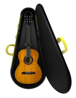 China Gitar/Bass Bag Airtek Classical Guitar Carry Bag For Guitar 2022 New Protect System For Classical Guitar for sale