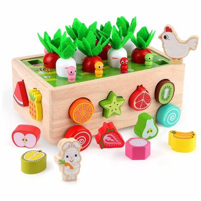 China Colorful/Safe/Environmental Wooden Montessori Garden Toy For Toddler Baby Girls Boy 1 to 3 Years Fine Motor Skills Developmental Toy Gift for sale