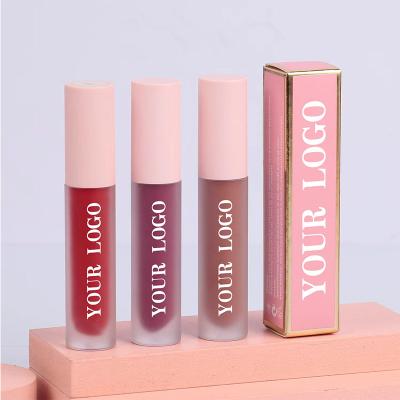 China Custom Wholesale Waterproof Logo Lip Gloss Vendors Matter Cosmetic Lip Gloss for sale