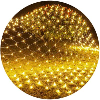 China Christmas Decorative Lighting 3*2M Led String Lights Outdoor Christmas Decoration Hotel Wedding Decoration Lights for sale