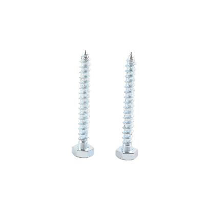 China HEX DIN571 stainless steel self-tapping screws for wood hex head wood screws for sale