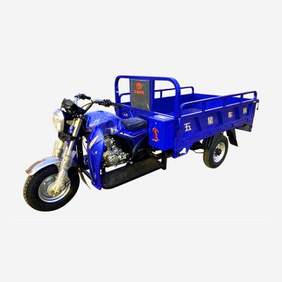 China 150cc cargo cargo tricycle with tarpaulin/three wheel motorcycle with tent/tent cargo three wheel motor rainproof tricycle à venda