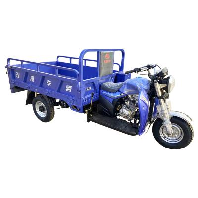 China Rural Cargo Three Wheel Country Garbage Tricycle Heavy Load Tricycle Sanitation Truck à venda