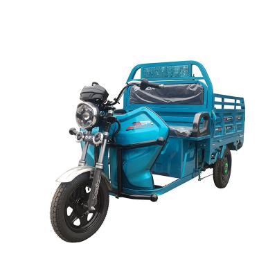 중국 China adult electric tricycle cabin cargo china cargo tricycle electric bike with car motorcycle 판매용