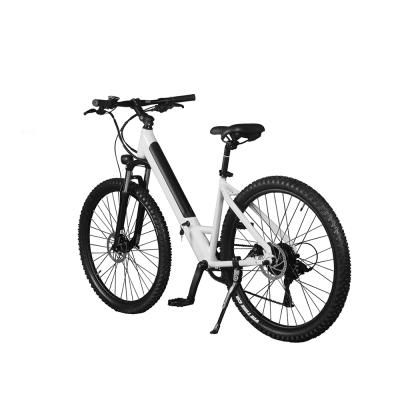 China Cheap Price Good Quality Aluminum Lithium Battery Disbrake Electric Bicycle Sales for sale