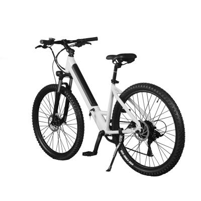 China Low Price 250W Floding Aluminum Sports China New Model Wheel Electric Bicycle for sale