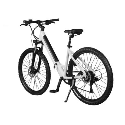 China Aluminum Custom Logo Kit Hub Motor Wheel Electric Bicycle From China Factory Wholesale Price for sale