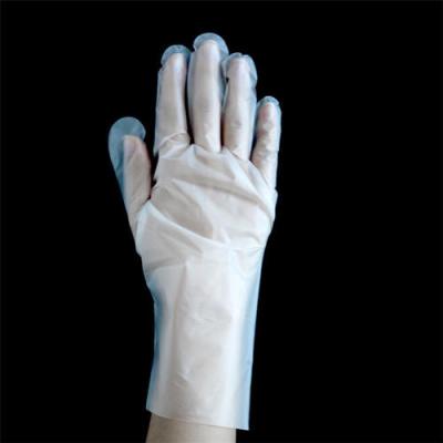 China LDPE Disposable Plastic Disposable Food Service Gloves Strip Food Service Gloves Clean BOX OEM To Poly for sale