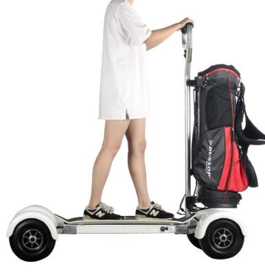 China 1600w Unisex 10 Inch Sharing Four Wheel Mini Electric Golf Skate Board Electric Golf Cart For Sale for sale