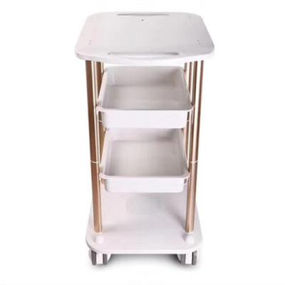 China Best Selling Modern Adjustable Salon Trolley Salon Storage Trolley For Beauty Salon for sale