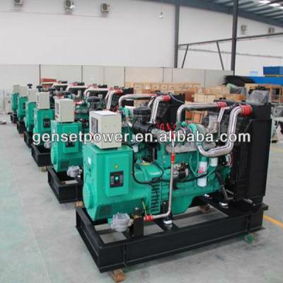 China 15kw To 300kw Electricity Power Natural Gas Generator Engine GNPG for sale