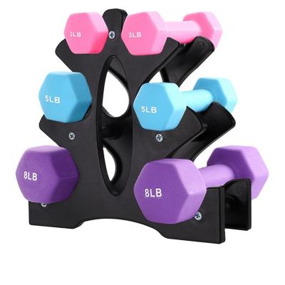 China Modern Economic Custom Design Trend Gym Equipment Dumbbell Rack Rack Fitness Products for sale