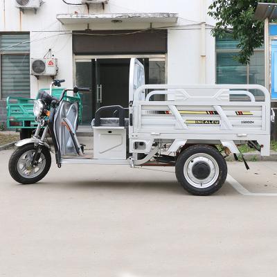 China Powerful Cargo LK Motor Farm Use 800W Motor 60V/48V 20Ah Electric Cargo Tricycle For Adult for sale