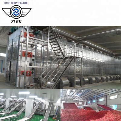 China Medicine Curing Fruit and Vegetable Dryer Machine Coconut Dehydrator Mesh Belt Dryer Belt Dryer Machine Belt Type for sale