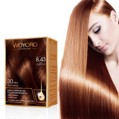 China Long Lasting Low Ammonia Argan Oil Color Shampoo for sale