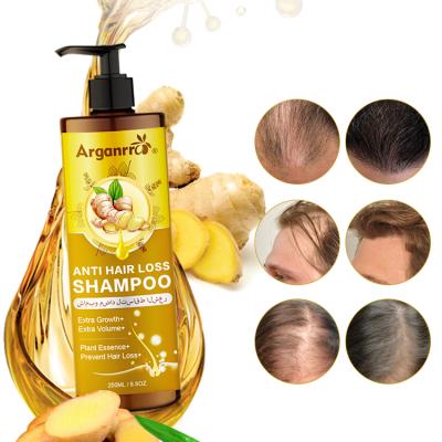 China Wholesale Color-Protect Private Label Ginger Anti Hair Loss Set Growth Ginger Anti Hair Loss Shampoo And Conditioner For Oily Hair for sale