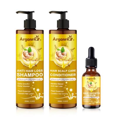 China Wholesale Color-Protecting Private Label Ginger Anti Hair Loss Set Growth Ginger Anti Hair Loss Shampoo For Oily Hair for sale