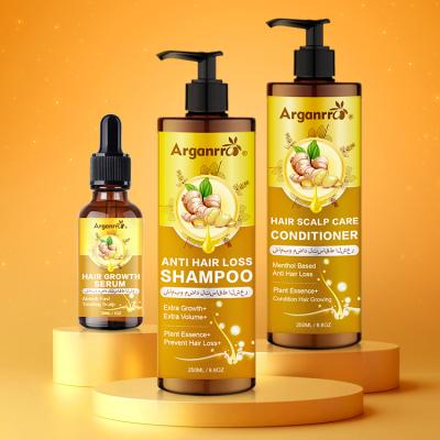 China Color-Protecting Private Label Anti Dandruff Anti Loss Hair Growth Shampoo Pure Natural Anti Oil Control Set Ginger Shampoo for sale