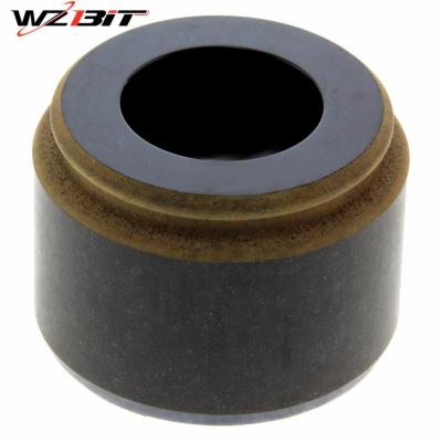 China Car Brake Caliper Piston 145.66006 14566006 Centric Caliper Piston for sale