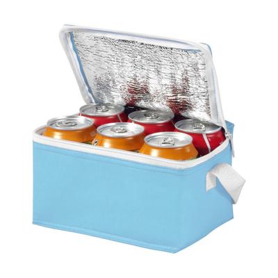 China TAKE AWAR Medela Small 6 BOX Takeout Portable Foil Insulation Bag Beer Zipper Caviar Ice Bag for sale