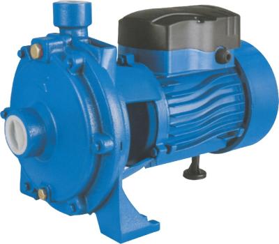 China High Efficiency Water Pump 2SGPM Centrifugal Pump Series for sale