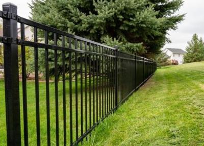 China Security Decorative Architecture Wrought Iron Steel Fence For Garden en venta