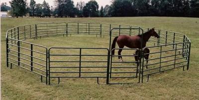 Κίνα Hot Selling Horse Round Yard Horse Corral Panel Livestock Panel Pen for Ranch προς πώληση