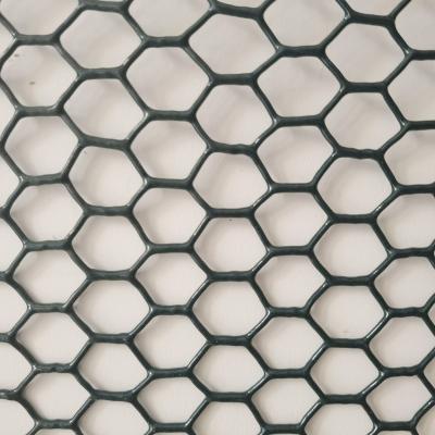 China PVC Coated Steel Wire Animal Chicken Mesh Netting Hexagonal Mesh Wire Netting for sale