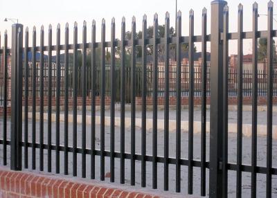 China Black Q195 2400mm Width Steel Tubular Fencing For Ornamental for sale