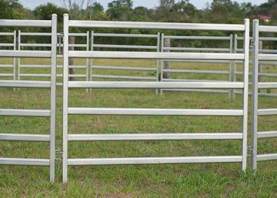 China 1.6x2.1m Heavy Duty Cattle Panel , Anti Rust Cattle Metal Fence Panels for sale