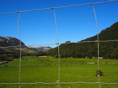 China Galvanisiert geregelt knoten Sie 1.5mm Mesh Farm Fence For Deer Vieh-Pferd zu verkaufen