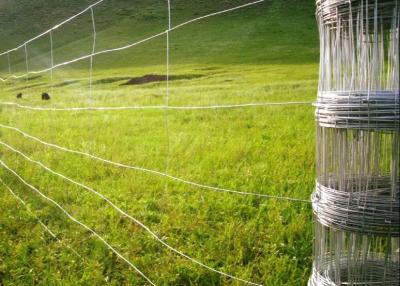 중국 Farm 330ft Length Roll Galvanized Steel Wire Metal Pasture Fencing 6ft 판매용