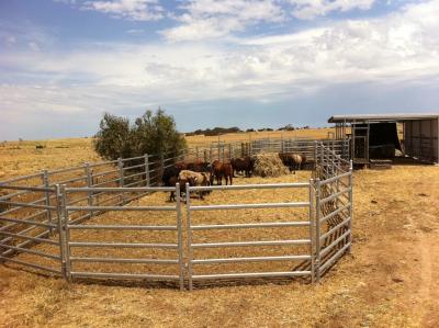 China El corral galvanizado resistente 1.0m m grueso portátil del Odm artesona el 1.8x3.37m en venta