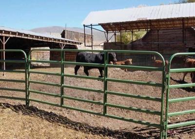 China el alto de los 5ft por el corral portátil largo del caballo del 12ft artesona galvanizado y polvo cubierto en venta