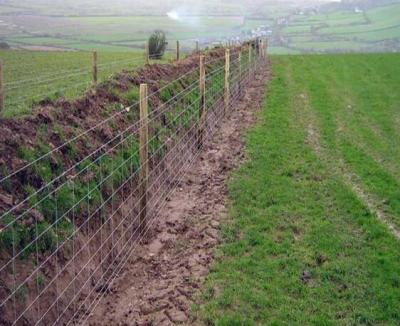 중국 Galvanized Iron 2.5mm horse Mesh Fencing Grassland Fencing corrosion proof 판매용