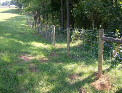 China 4 Ft 5 Ft-Viehbestand-Mesh Fencing SGS-Bescheinigung zu verkaufen