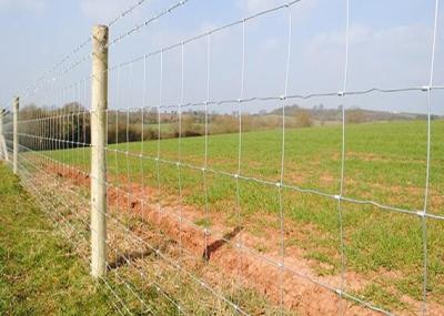 China 2.4m Heet Ondergedompeld Gegalvaniseerd Schermend de Veiligheidsgebied van het Staalvee Landbouw Te koop