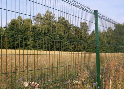 Cina 2m dalla saldatura ricoprente di 2.5m 4.5mm V Mesh Security Fencing Green Pvc in vendita