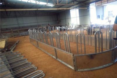 China Vee/Paard 1.06m Rond Hay Feeder Livestock Handling Equipment Te koop