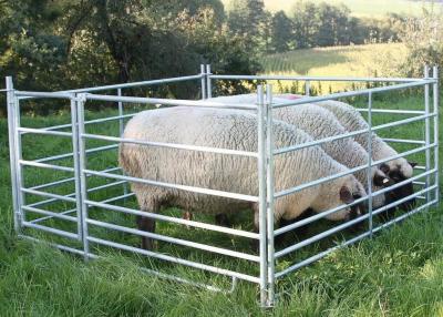 Chine L'immersion chaude de panneau résistant de bétail de bobines des moutons 7 a galvanisé l'acier 275 cm X 92 cm en métal à vendre